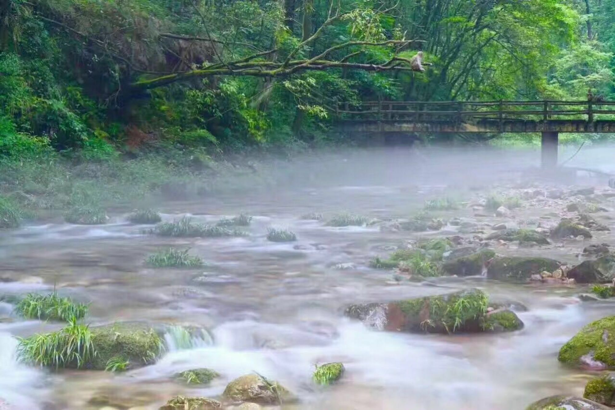 Zhangjiajie Yueranju Hostel Kültér fotó